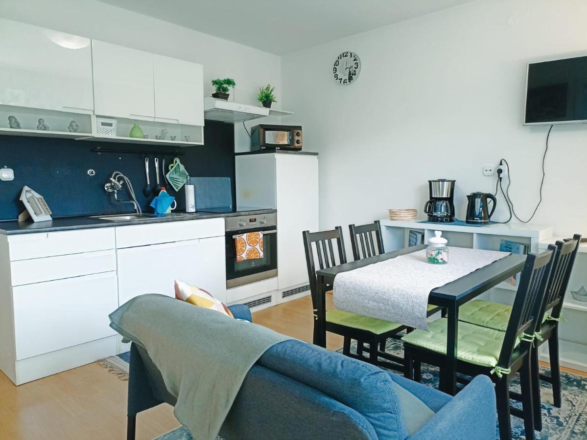 Apartmaji Sofia Марибор Екстериор снимка